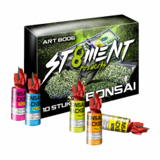 BONSAI 10 STUKS
