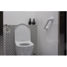 SECUCARE WANDBEUGEL BASIC 300